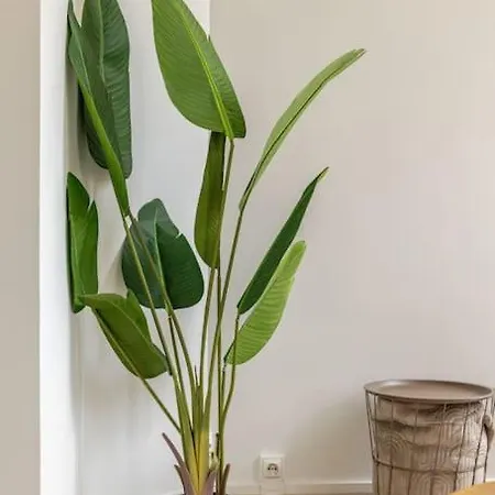 Le Gambetta Rouen Apartmán