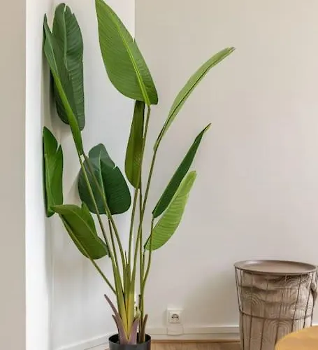 Le Gambetta Rouen Apartment